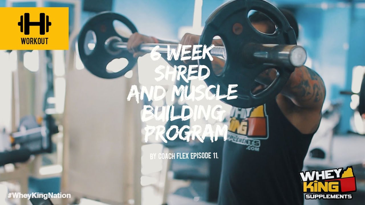 6 week Shred & Muscle Building Program | Coach Flex | Day.11 | Whey King Supplements Philippines
