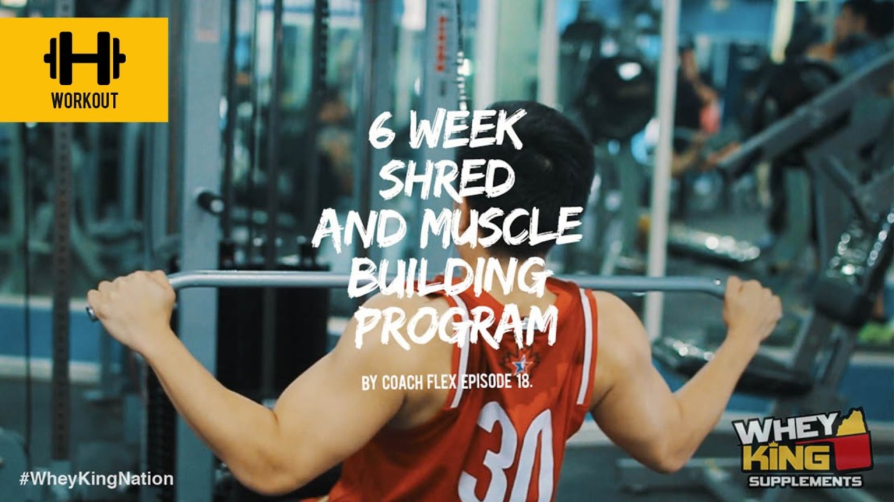 6 week Shred & Muscle Building Program | Coach Flex | Day.18 | Whey King Supplements Philippines