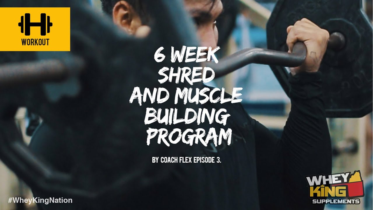6 week Shred & Muscle Building Program | Coach Flex | Day.3 | Whey King Supplements Philippines