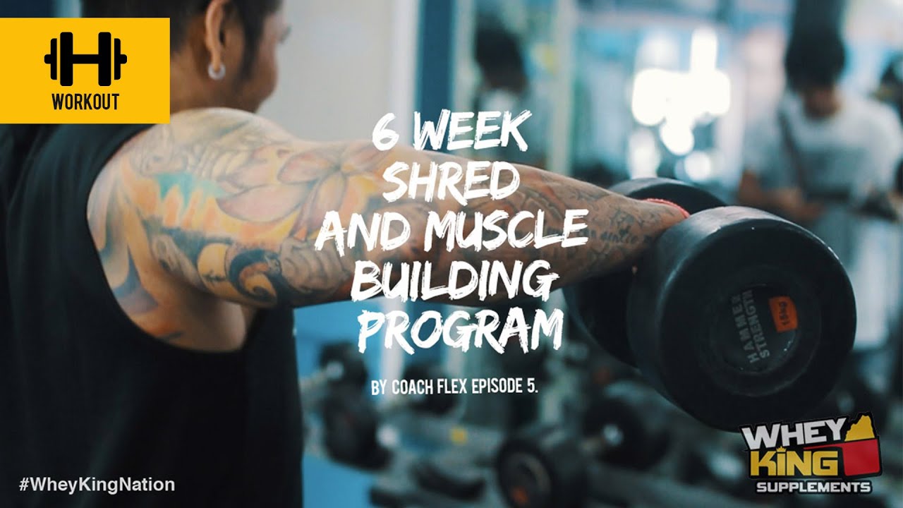 6 week Shred & Muscle Building Program | Coach Flex | Day.5 | Whey King Supplements Philippines
