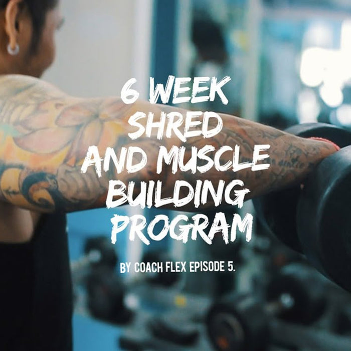 6 week Shred & Muscle Building Program | Coach Flex | Day.5 | Whey King Supplements Philippines