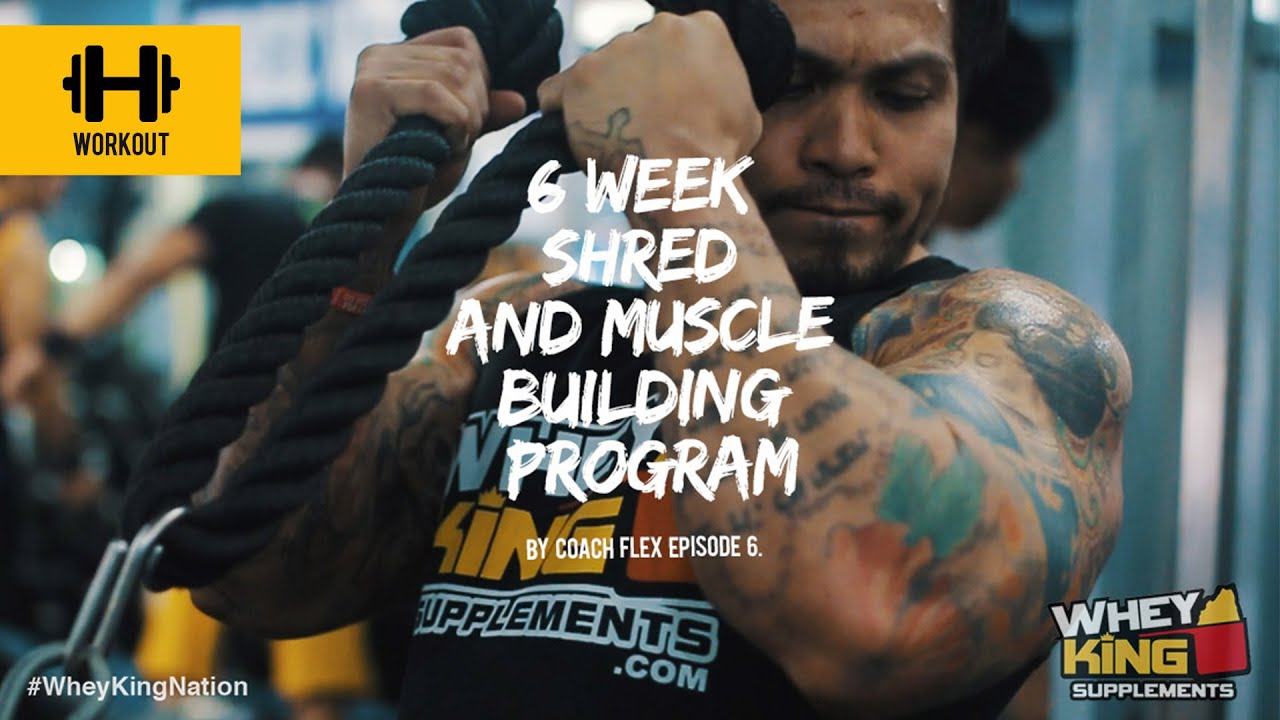 6 week Shred & Muscle Building Program | Coach Flex | Day.6 | Whey King Supplements Philippines