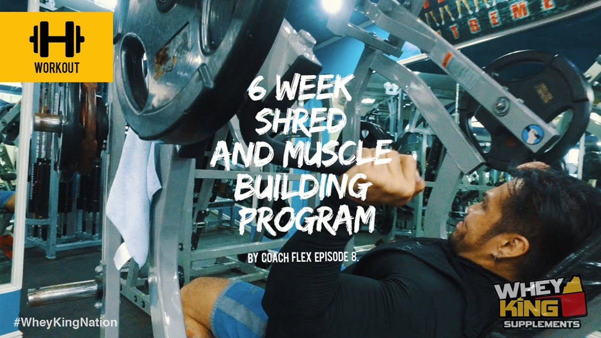 6 week Shred & Muscle Building Program | Coach Flex | Day.8 | Whey Kin ...