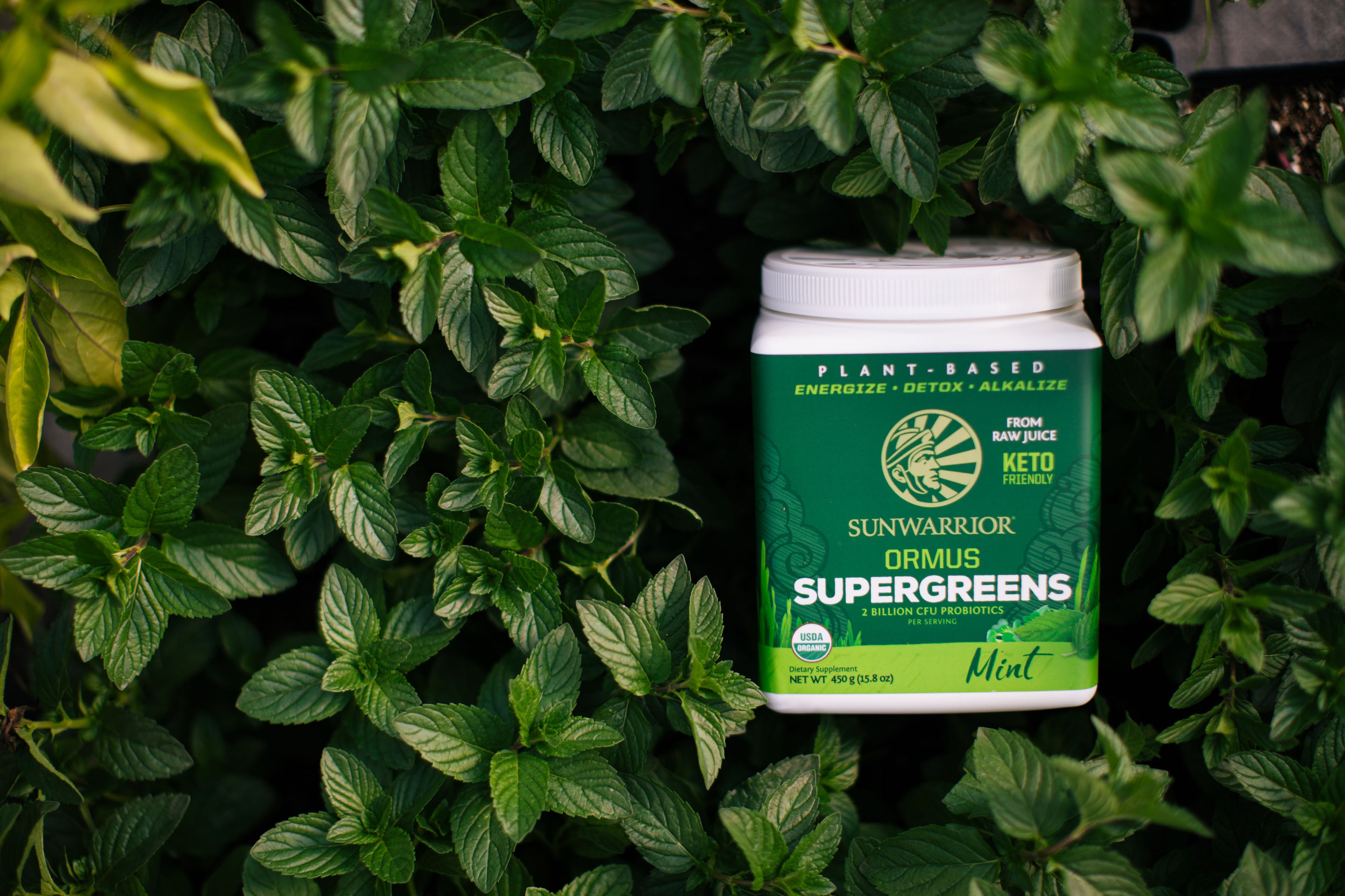 Whey King Supplements One Stop Fitness Supplement Store Philippines